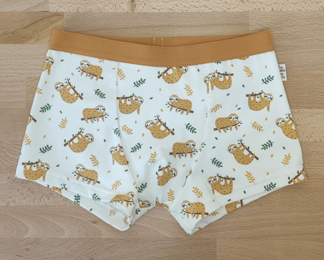 Boxer Rêve de Paresseux